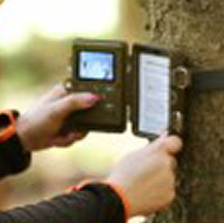 Piège photographique ou caméra de chasse avec WiFi DTC 550 WiFi Camo Minox