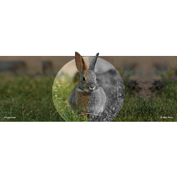 HIKMICRO ALPEX 4K LITE A40E - Lunette de vision nocturne numérique